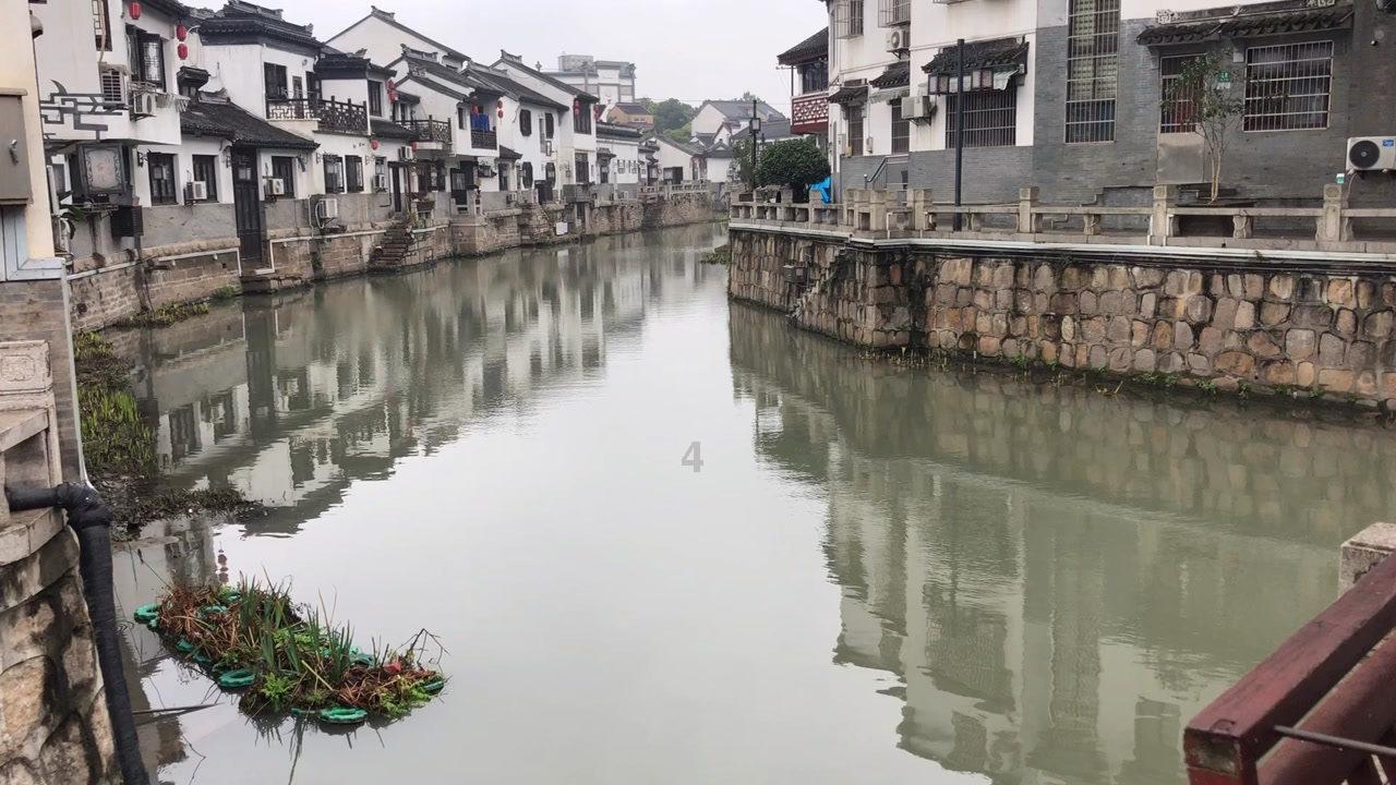 别的公司拿我的身份证做工资可以举报他偷税漏税吗?-专业问答交流平台